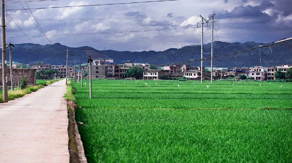 杭州市内蒙古乡村沃畉农业服务购入…