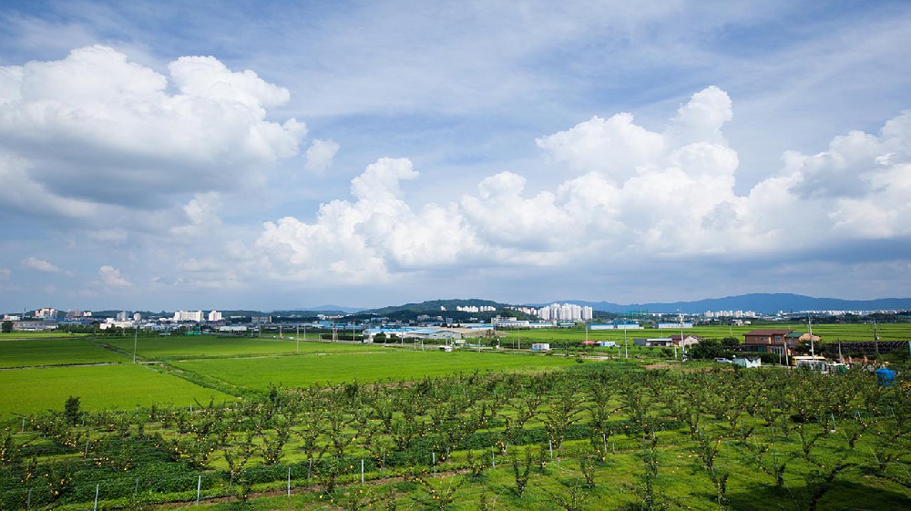 杭州市山东省临沂沂南县农业局采购…